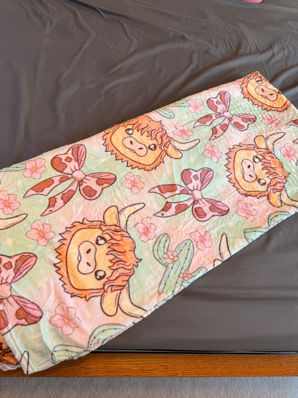 Highland Hugs Plush Blanket